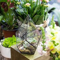 Fabricant Pyramide Triangle Géométrique Terrarium Moderne Artistique Verre Clair Géométrique Terrarium Planteur