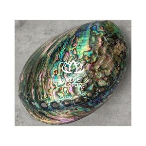 Figuras de Conchas Marinas Hechas a Mano de Primera Calidad para Exhibición Diaria y para Utilizar como Únicos Recipientes para Guardar Llaves y Monedas - Product Image 1