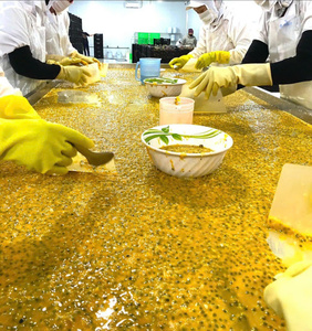 Fruta de la Pasión congelada de calidad superior, fruta tropical cuidadosamente seleccionada, sabor agridulce, perfecto para bebidas a granel - Product Image 2