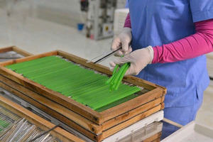 VENTE CHAUDE Pailles végétales biodégradables-100% écologique, non plastique, haute qualité-Commandez maintenant! -LOTUS VIETNAM BLEU - Product Image 2