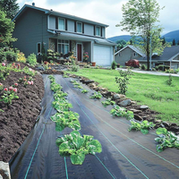 Toile de paillage anti-herbe en tissu tissé HDPE PP pour jardin, ferme et aménagement paysager