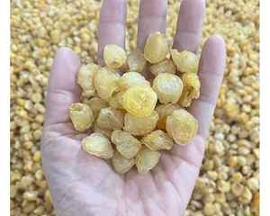 ลำไยตากแห้งจากเวียดนามสำหรับผู้ซื้อขายส่งและผู้จัดจำหน่ายใบยาวแห้งระหว่างประเทศโดย99GD - Product Image 6