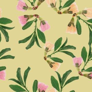 100% Bandana en coton biologique Bandana de conception imprimée sur mesure Bandana en pur coton foulard en coton de soie de forme carrée avec écologique - Product Image 5