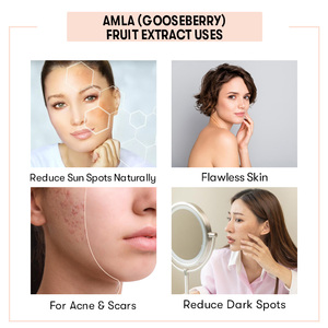 สารสกัด Amla (มะยม) บริสุทธิ์100% - Product Image 4