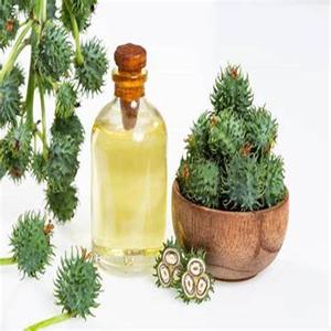 Extraits de graines de ricin naturelles de haute qualité, produits agricoles à prix abordables - Product Image 2