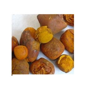 Cálculos biliares de vaca de alta calidad disponibles a granel a precios bajos a la venta Ideal para compradores mayoristas y fines de exportación - Product Image 1