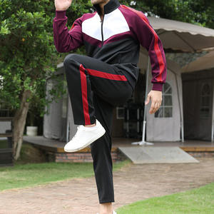 2025 Gym Fitness Sportswear Tech Fleece Training Tracksuits Men Two Piece Set Tracksuit Jogging Suit for Men - Product Image 3