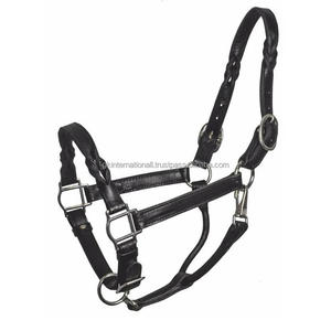 Equipo de caballo ecuestre respetuoso con el medio ambiente Diseño personalizado Doble grueso Negro Marrón Cuero acolchado Caballo Halter y cuerdas de plomo - Product Image 4