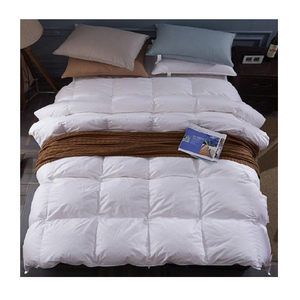 2022 Mới Nhất Mùa Đông Chất Lượng Hàng Đầu Tùy Chỉnh Logo Đồng Bằng Trắng Comforter Trong Nhà Máy OEM Thiết Kế Trên Bán - Product Image 2