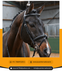 Eafher-Ridle, ribete de pestañas - Product Image 3