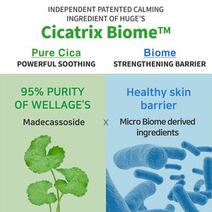 WELLAGE Real Cica Calming Ampoule Mask 10 feuilles Korean Skincare Madecassoside Hydratant Hydratant High Adhesive Tencel Sheet - Product Image 4