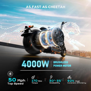 Großhandel: 4000W Elektrisches Erwachsenen-Motorrad, Straßen-Moped, <span class=keywords><strong>Chopper</strong></span>, Hohe Geschwindigkeit, Große Reichweite zum Verkauf - Product Image 6