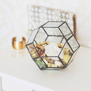 Premium Quality Design Brass Border Black Coated Clear Glass <b>Geometric</b> <b>Terrarium</b> Custom Size Tabletop Decoration Home Office - Product Image 3