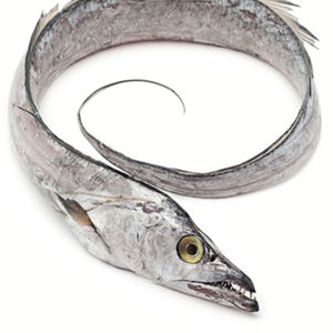 Cinta de pescado, pescado fresco, cinta de pescado - Product Image 6