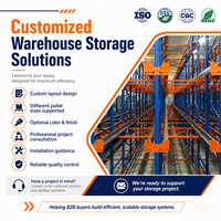 Système de rayonnage intelligent pour entrepôt, solution d'automatisation de stockage de palettes haute densité pour la logistique frigorifique