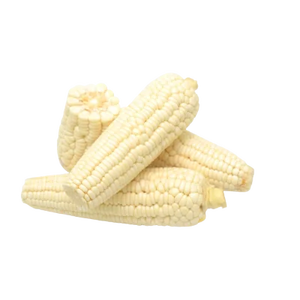 Maíz Blanco Orgánico No Transgénico Seco para Alimentación Humana y Animal Cultivo de Maíz Blanco - Product Image 2