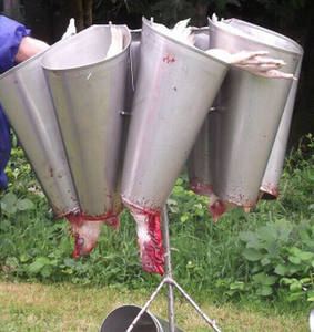 Cono de exterminio de pollos galvanizado - Product Image 6