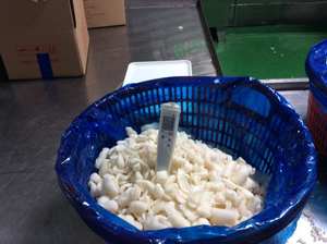 Lichi congelado de Vietnam para exportación de fruta pelada dulce y fragante procesado IQF adecuado para restaurantes y revendedores - Product Image 5