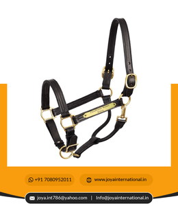 Fournisseur d'équipement d'équitation 1 "Xl Stallion Premium Leather Show Halter avec plaque signalétique pliable non pérenne - Product Image 5