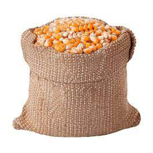 ข้าวโพดสีเหลืองสำหรับอาหารสัตว์และสัตว์ปีก - Product Image 1