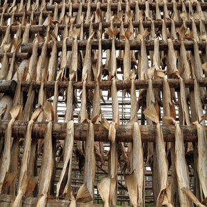 Khô stockfish khô Norwegian Chứng Khoán cá & <span class=keywords><strong>COD</strong></span> Heads/cá tuyết và khô Chứng Khoán cá kích cỡ - Product Image 6