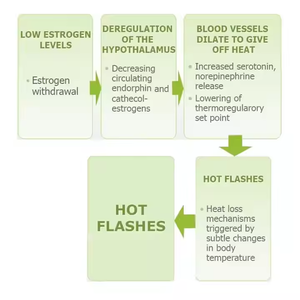 Cápsulas de Suplemento para la <span class=keywords><strong>Menopausia</strong></span> de Marca Privada OEM al por Mayor para Mujeres, para el Equilibrio de Estrógenos, <span class=keywords><strong>Sofocos</strong></span> y Alivio de la <span class=keywords><strong>Menopausia</strong></span> - Product Image 4