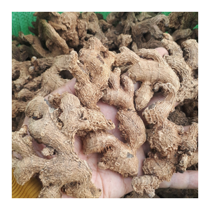 Fournisseur de gingembre séché du Vietnam Tranche de gingembre séché naturel de qualité supérieure et approvisionnement en gros pour l'exportation de racines entières - Product Image 2