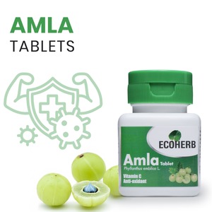 Tabletas de Amla de Primera Calidad para el Bienestar Diario y Suplemento Nutricional Disponible para Suministro al por Mayor - Product Image 5