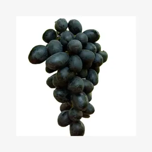 Fresh Delicious Green Red Black Grapes Sonaka, Super Sanoka, Sharad, Black Jumbo 20" 40" Container