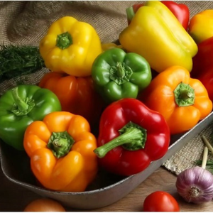 Piment rouge/vert/jaune / capsicum / poivron avec un bon prix sur la nouvelle récolte - Product Image 4