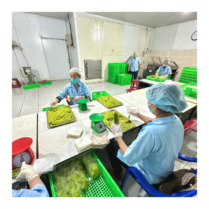 Premium Vietnam mitades de aguacate congelado IQF calidad de exportación a granel al por mayor mitades de aguacate congelado stand 034 variedad de suministros - Product Image 3