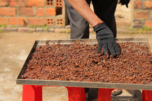 Top Choice Vietnamita Robusta G1 Granos de café verde Proceso natural secado al sol Sabor fuerte Embalaje personalizado Bajo MOQ - Product Image 6