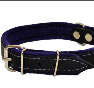 Collar de perro sabueso de cuero verde de alta calidad para galgo y Whippet - Product Image 2