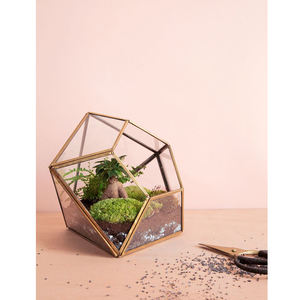 Best Quality <b>Clear</b> Glass Geometric Terrarium <b>Vase</b> New Arrival Planter Decor with Reasonable Price Brass Jewelry Boxes - Product Image 1