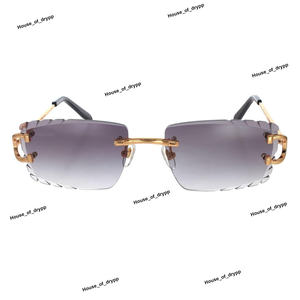Lunettes de soleil grises dégradées avec des détails de bordure élégants et un métal plaqué or, lunettes de mode modernes pour hommes et femmes - Product Image 2