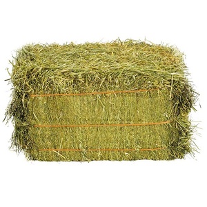Nouveau Prix Raisonnable Qualité Supérieure Foin d'Alfalfa Foin de Timothy Prix de Gros - Product Image 1