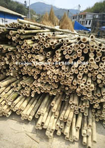 Bastones de bambú biodegradables, ecológicos, baratos, hechos en Vietnam - Product Image 5