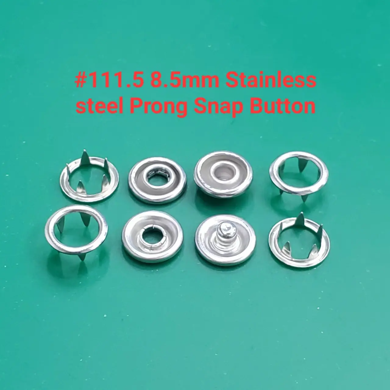 #111.5 8.5mm baja tahan karat Prong cincin kancing jepret