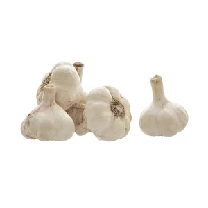 Fornitore all'ingrosso di aglio fresco sbucciato per la vendita a prezzo ragionevole