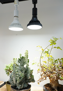 Tốt nhất bán 10-e26 Bóng đèn không thấm nước chủ cảm biến chuyển động ánh sáng ổ cắm sắt gốm nhựa với vít phong cách - Product Image 6