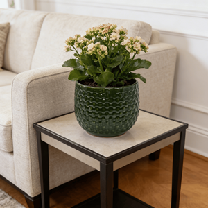 Ensemble de 3 pots de fleurs en céramique MDJ, vert foncé, glaçure brillante, ronds, pour l'intérieur et l'extérieur, style moderne minimaliste - Product Image 3