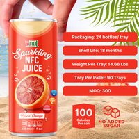 Voor een lage minimale bestelhoeveelheid: Bloedsinaasappel Sparkling Puree - 0g toegevoegde suiker, koolhydraatarm, 330ml blikje