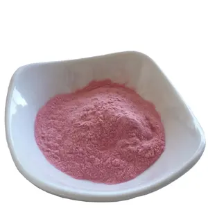 热卖批发纯天然Charry果汁粉有机Charry提取物粉从印度网上购买