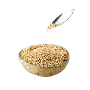 Wholesale Price For Sesame Seed From Viet Nam High Quality and High Nutrition For Export Direct From Vigifarm