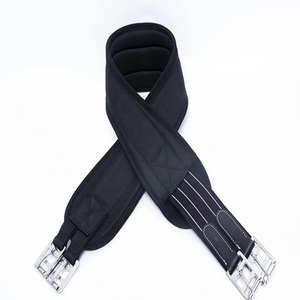 Circunferencia de caballo de doma de cuero ajustable ecuestre profesional de alta calidad con personalización de piel productos equinos aceptados - Product Image 2