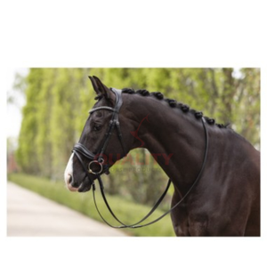 Juego de Brida y Cabestro de Cuero Estilo Inglés 2026, Hecho para Uso en Exteriores con Apariencia Elegante y Comodidad Enfocada en el Jinete - Product Image 3