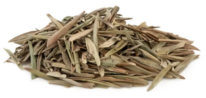 Hojas de Olivo Secas Enteras Ayana 100% Naturales, Puras, Silvestres y de Grado Alimenticio de Egipto - Product Image 4