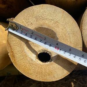 Varas de Bambú Naturales y Carbonizadas |   Tamaño Grande |   Tratado para la Construcción |   Directo de Fábrica - Product Image 1