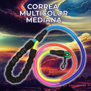 Guinzaglio in nylon multicolore di taglia media con motivo a tinta unita e impugnatura in schiuma - Product Image 4