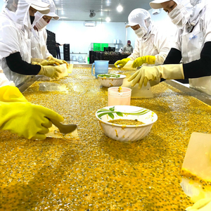 Fruta de la Pasión congelada | Concentrado de jugo 100 por ciento orgánico | Proveedor de Vietnam de exportación al por mayor a granel - Product Image 4